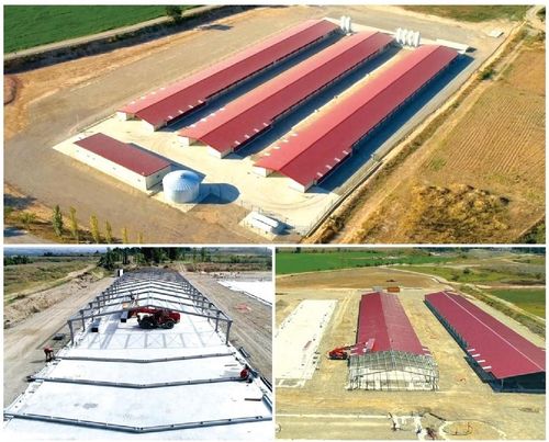 Dernière affaire concernant Trois nouvelles maisons de poulets de chair pour la troisième étape de la construction de salles d'engraissement de poulets de chair, d'une capacité d'environ 147000 poulets de chair.
