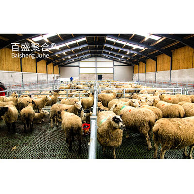 Construction métallique Structure en acier personnalisée pour le hangar à vaches / hangar à moutons / porcherie
