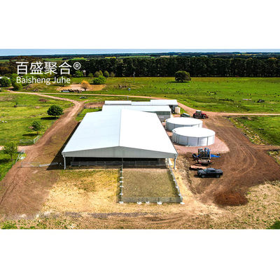 Construction métallique Structure en acier personnalisée pour le hangar à vaches / hangar à moutons / porcherie