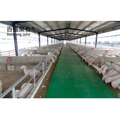 Étagères préfabriquées pour bovins, chevaux, chèvres et moutons