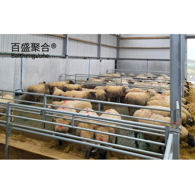 Structure en acier préfabriqué bâtiment de ferme de moutons bâtiment de ferme Conception en acier à faible teneur en carbone Q235
