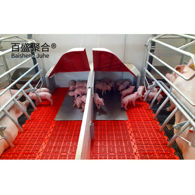 Élevage de porcs Pins d'élevage en acier en forme de C.Z et revêtement galvanisé à chaud