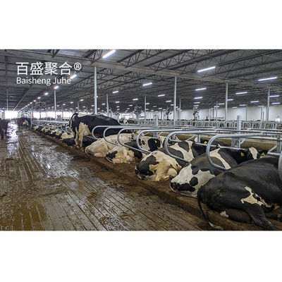 ISO9001 2008/CE/BV Certified Prefabricated Steel Beams H Beams Livestock Shed for Cow Les poutres en acier préfabriquées pour le bétail