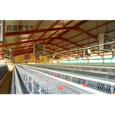 Construction en acier galvanisé à chaud bâtiment de poulet élevage de volailles poulets à œufs maisons
