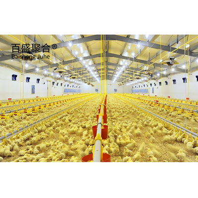 Structure en acier galvanisé à chaud, poulet, élevage de volailles, hangar pour la capacité de charge lourde