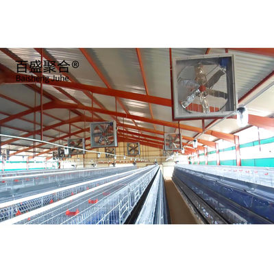 Édifice de ferme de volaille de poulets de chair de poule préfabriqué de grande capacité avec toit en panneaux sandwich