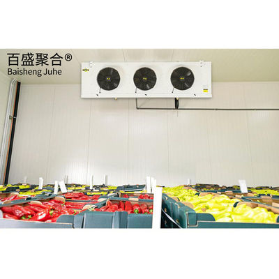 Chambre froide pour le stockage de fruits frais de durian corrosifs en capacité