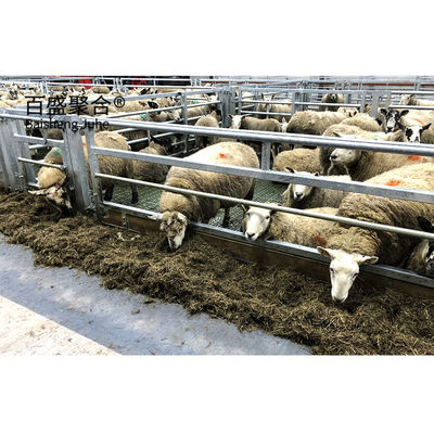 Maison modulaire préfabriquée pour le stockage des moutons, avec couleurs personnalisées et tolérance ± 1%