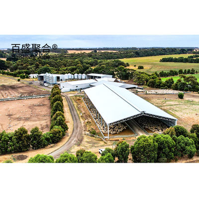 Élevage de l'acier Structure préfabriquée en acier Ferme de chèvres Bergerie de moutons Cabane maison avec poutres H