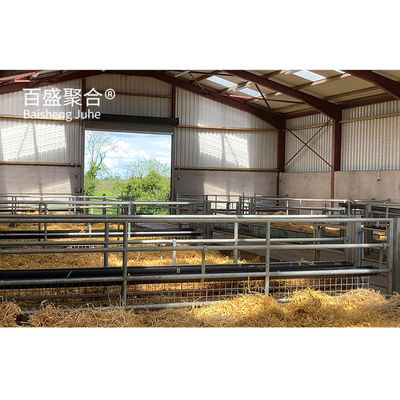 Élevage de l'acier Structure préfabriquée en acier Ferme de chèvres Bergerie de moutons Cabane maison avec poutres H