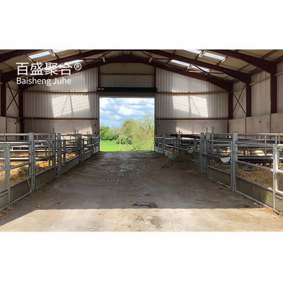 Élevage de l'acier Structure préfabriquée en acier Ferme de chèvres Bergerie de moutons Cabane maison avec poutres H