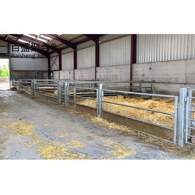 Structure en acier galvanisée préfabriquée pour les vaches, poulets et moutons