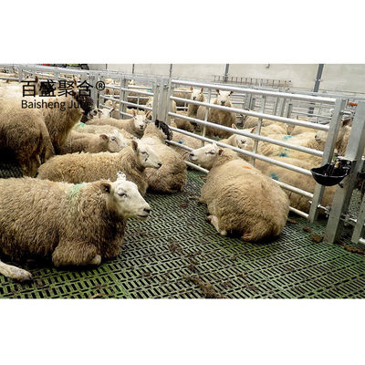 Structure en acier galvanisée préfabriquée pour les vaches, poulets et moutons