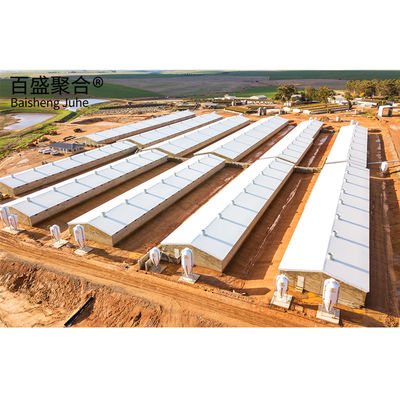 Soudage préfabriqué H poutres bâtiment de structure en acier pour les troupeaux de moutons et de chèvres