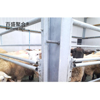 Soudage préfabriqué H poutres bâtiment de structure en acier pour les troupeaux de moutons et de chèvres