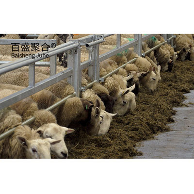 Construction métallique préfabriquée abordable Bergerie de moutons et de chèvres Château avec conception de dessin PKPM