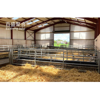 Construction métallique préfabriquée abordable Bergerie de moutons et de chèvres Château avec conception de dessin PKPM
