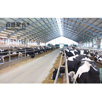 Maison de vache/boutique de vache préfabriquée lourde et conçue de manière efficace avec un châssis en forme de C.Z.