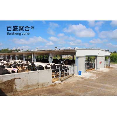 Maison de vache/boutique de vache préfabriquée lourde et conçue de manière efficace avec un châssis en forme de C.Z.