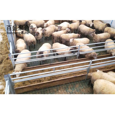 Château à rouleaux préfabriqué pour bétail pour moutons et chèvres