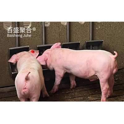 Construction agricole préfabriquée en acier sur mesure pour le logement de porcs et de vaches
