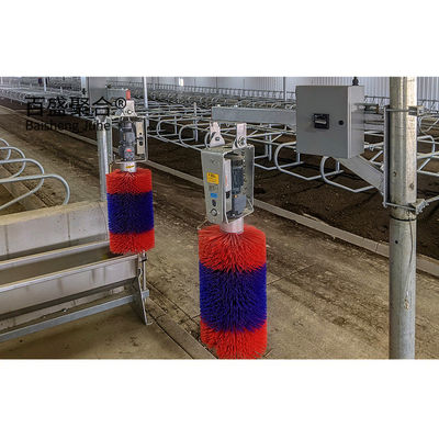 Vitre en alliage d'aluminium et bâtiment de ferme de vaches en acier préfabriqué Q345 pour maison de vache laitière
