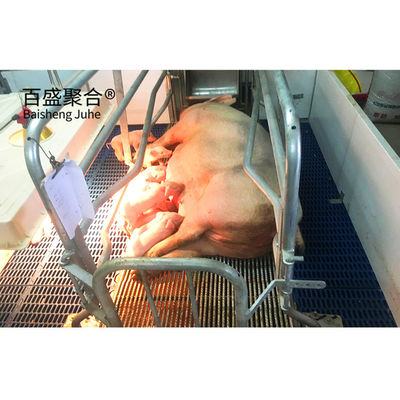 Maison à porcs commerciale personnalisée selon la norme ASTM avec porte à rouleaux et structure en acier préfabriqué