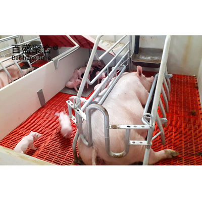 Maison à porcs commerciale personnalisée selon la norme ASTM avec porte à rouleaux et structure en acier préfabriqué