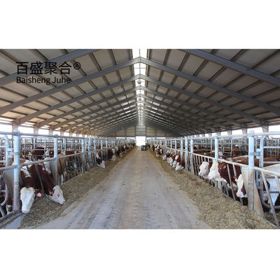 PKPM dessin conception structure en acier préfabriqué vache chèvre ferme laitière