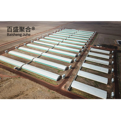 Ferme de volaille automatique maisons de porcs préfabriquées à couche avec conception et fenêtre en alliage d'aluminium
