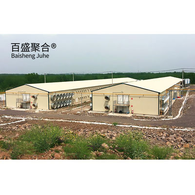 Ferme de volaille automatique maisons de porcs préfabriquées à couche avec conception et fenêtre en alliage d'aluminium