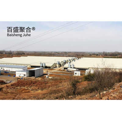 Ferme de volaille automatique maisons de porcs préfabriquées à couche avec conception et fenêtre en alliage d'aluminium