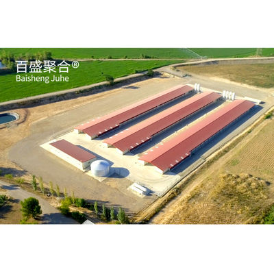 ± 1% Tolérance Construction rapide Structure en acier Coop de poulet maison pour la ferme avicole préfabriquée