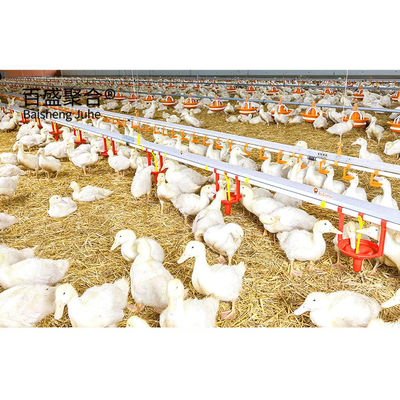 ± 1% Tolérance Construction rapide Structure en acier Coop de poulet maison pour la ferme avicole préfabriquée