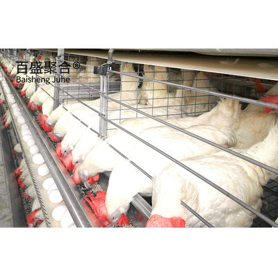 ± 1% Tolérance Construction rapide Structure en acier Coop de poulet maison pour la ferme avicole préfabriquée