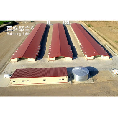 Galvanisée à chaud en acier en forme de canal C.Z. Poule préfabriquée pour élevage de volailles