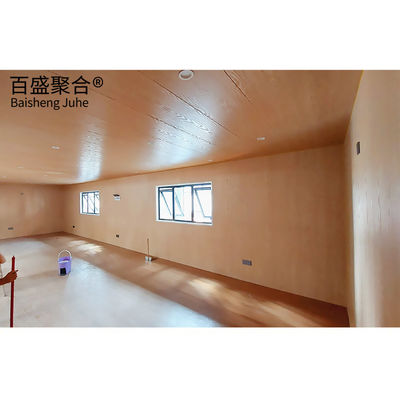 Maison de conteneurs de couleur personnalisée pour la vie en extérieur moderne Maison préfabriquée Apple Cabin