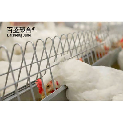 Tolérance élevée Une cage de poulet de type couche pour 1000 à 10000 poules pondeuses dans l'acier
