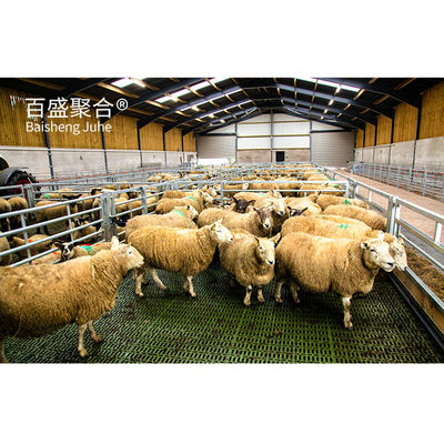 Couleurs personnalisées poutres en acier Abri animal préfabriqué pour élevage de moutons/bœufs/porcs/vaches/chèvres