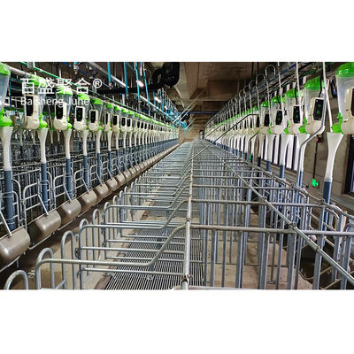 Structures en acier galvanisées à chaud/à pulvérisation de peinture pour entrepôts d'élevage porcin