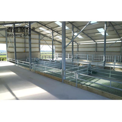 Q235 Acier à faible teneur en carbone pré-conception lourde Structure en acier du hangar pour moutons/vaches Fermes commerciales Poulaillers
