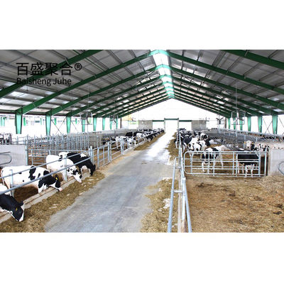 Conception moderne Structure en acier Vache bovine Laiteries Laiteries Ferme Shed Bâtiment avec poutres en acier H poutres