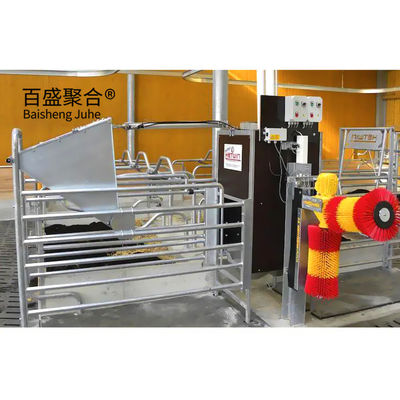 Conception moderne Structure en acier Vache bovine Laiteries Laiteries Ferme Shed Bâtiment avec poutres en acier H poutres