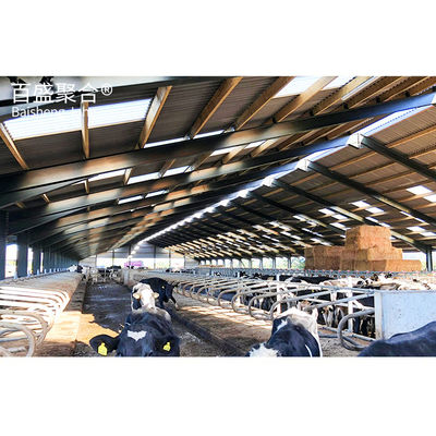 Structure en acier personnalisable pour l'élevage laitier galvanisée à chaud et pulvérisation de peinture