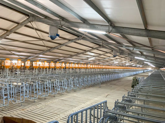 Porte coulissante Porte à rouleaux pour les cages à couche de ferme de bovins et de porcs