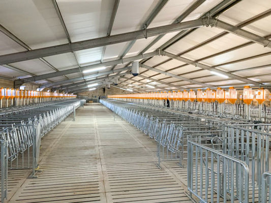 Porte coulissante Porte à rouleaux pour les cages à couche de ferme de bovins et de porcs