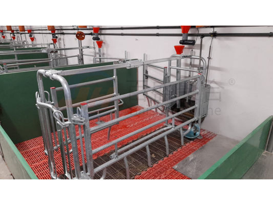 Porte coulissante Porte à rouleaux pour les cages à couche de ferme de bovins et de porcs
