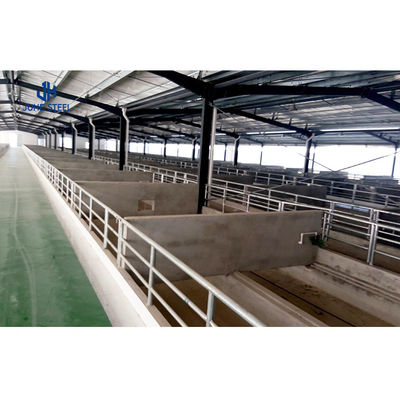 Étagère pour bovins et chèvres de qualité acier