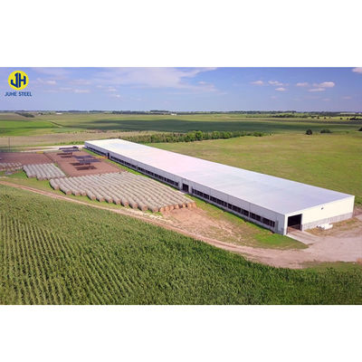 Structure en acier lourd élevage de volaille poulailler avec fenêtre et fenêtre en alliage d'aluminium