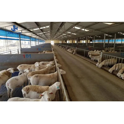Étagère à chèvres moderne Structure en acier préfabriquée Étagère à vaches Ferme avec service de soudage